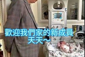 84岁刘诗昆晒全家福，3岁女儿跟3个月儿子太漂亮，夫妻俩喜上眉梢